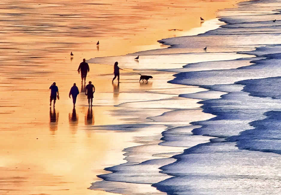 people on beach with dog in ocean